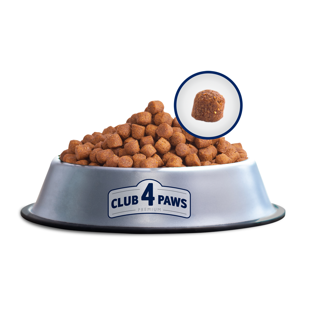 Club4Paws sausas šunų maistas Active, aktyviems visų veislių šunims SU VIŠTIENA 14kg