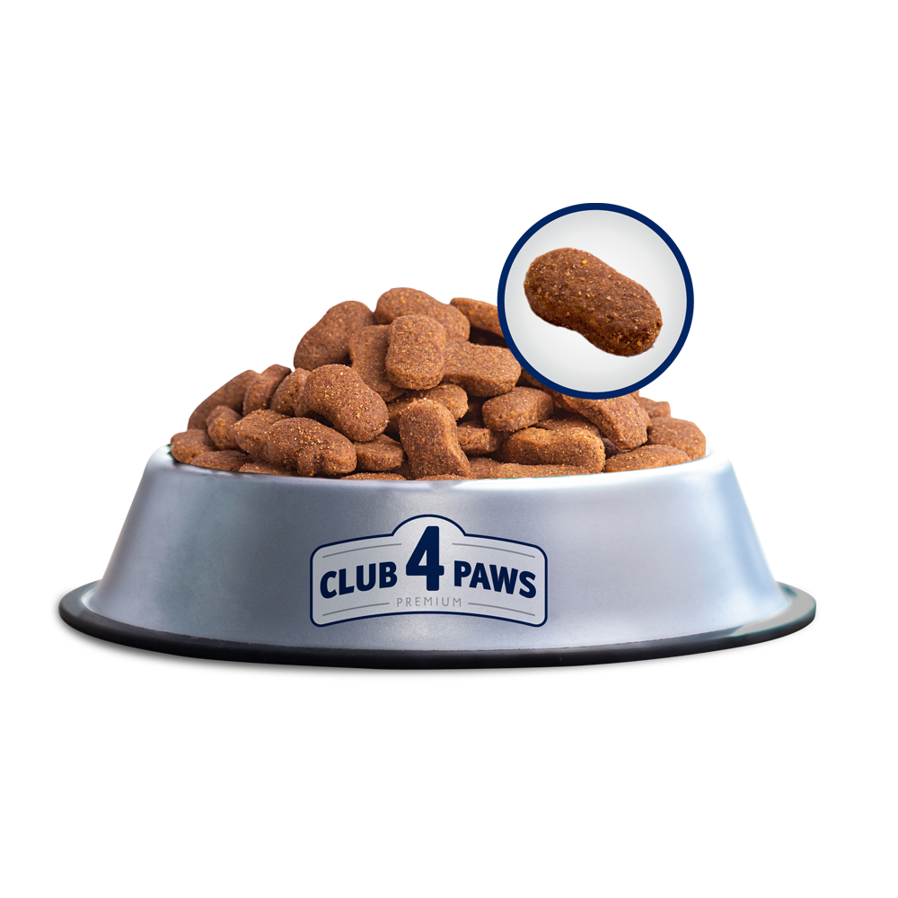 Club4Paws sausas šunų maistas Scout, vidutinių ir didelių veislių šunims SU VIŠTIENA 14kg