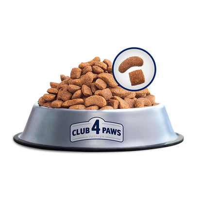 Premium kokybės Club4Paws sausas šunų maistas suaugusiems vidutinių veislių šunims, 20kg