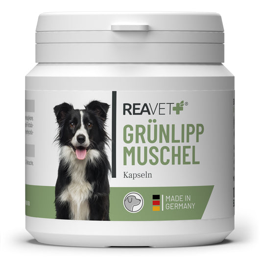 Reavet žaliųjų midijų maisto papildas šunims, kapsulėmis 100vnt.