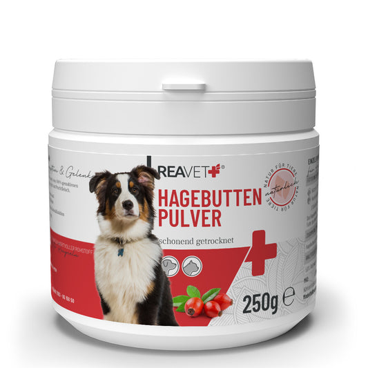 Reavet erškėtuogės šunims ir katėms, milteliai 250g