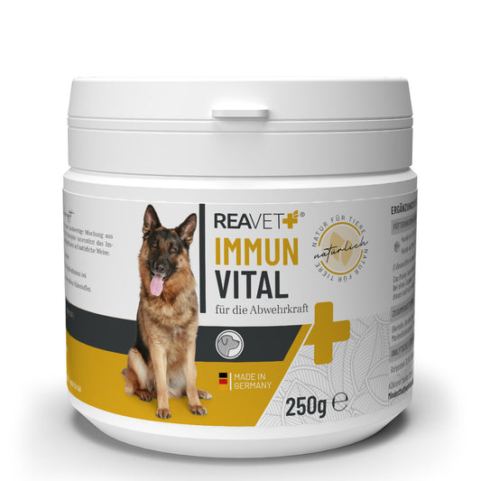 Reavet Immun Vital maisto papildas šunims, milteliai 250g