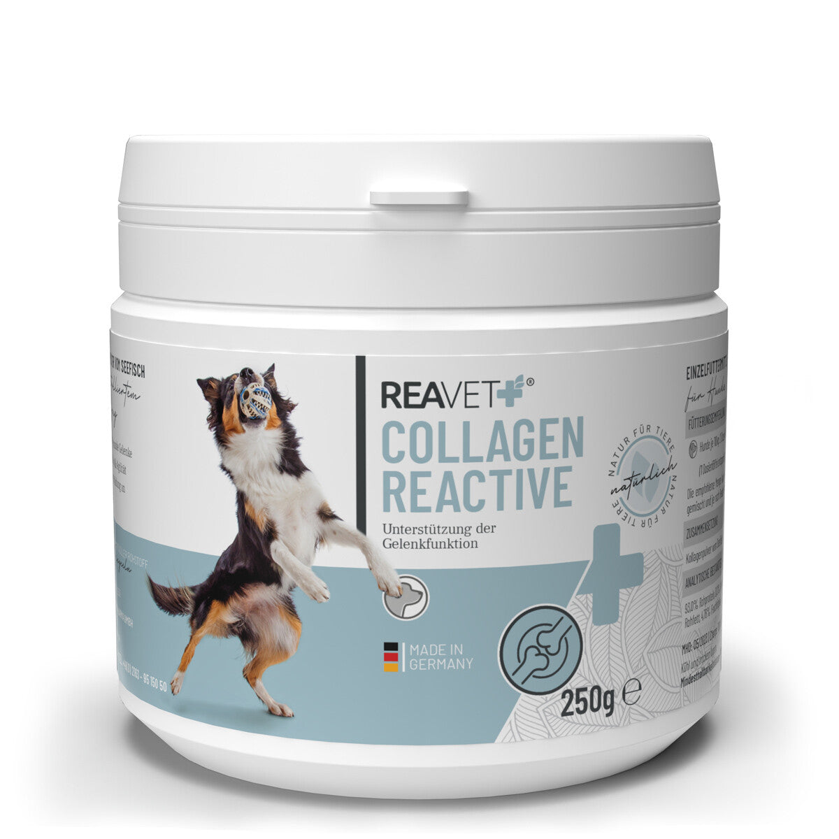 Reavet kolagenas reactive šunims, milteliai - 250g