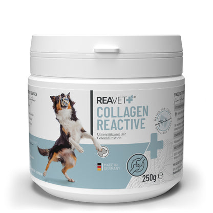 Reavet kolagenas reactive šunims, milteliai - 250g