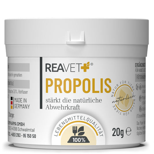 Reavet bičių pikio (propolio) ekstraktas šunims ir katėms, milteliai 20g