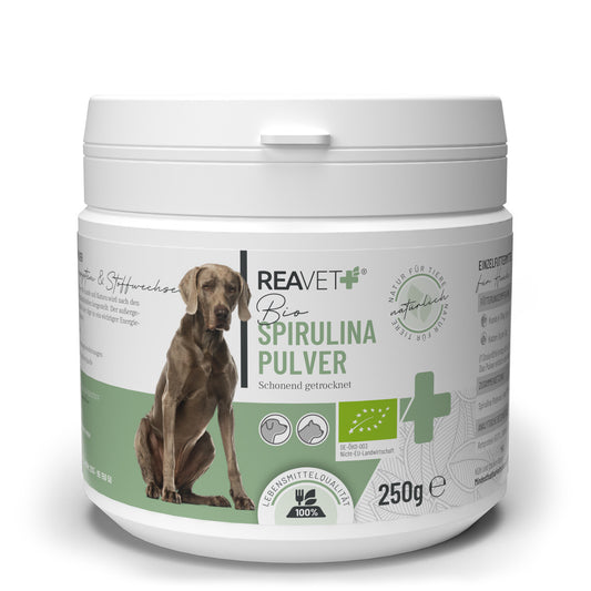 Reavet spirulina šunims ir katėms, milteliai 250g