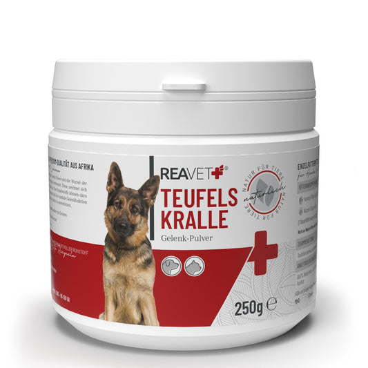 Reavet velnio letena šunims ir katėms, milteliai 250g