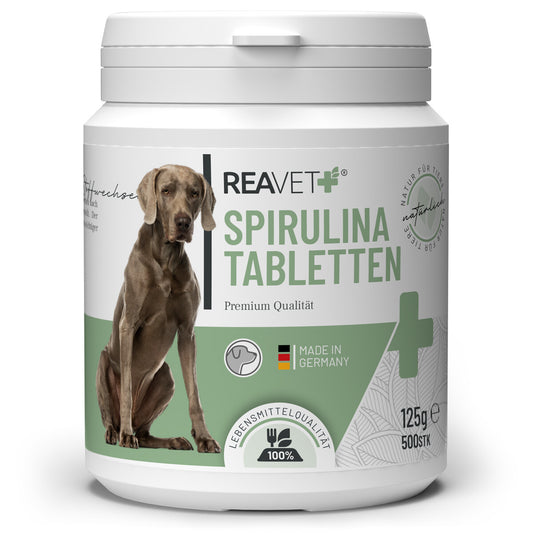 Reavet spirulina šunims, tabletės 260g